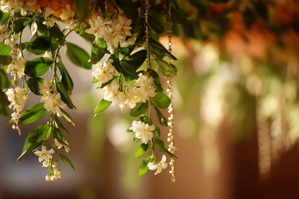 Indian jasmine garland