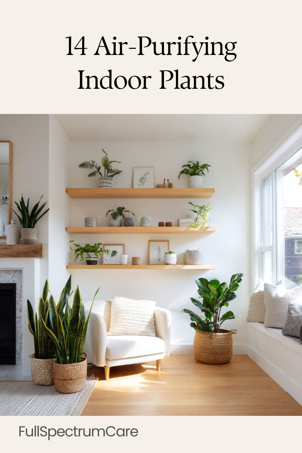 Bright modern living room with snake plant, fiddle leaf fig, and other indoor plants arranged neatly, representing natural ways to improve air quality at home.