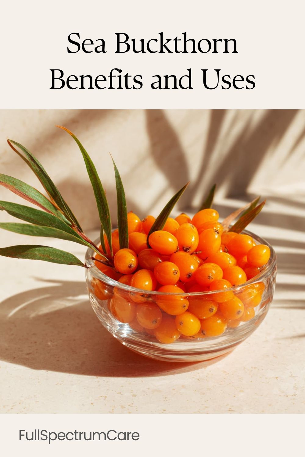A clear glass bowl filled with bright orange sea buckthorn berries in warm natural sunlight, with olive-like leaves casting soft shadows on a light surface.