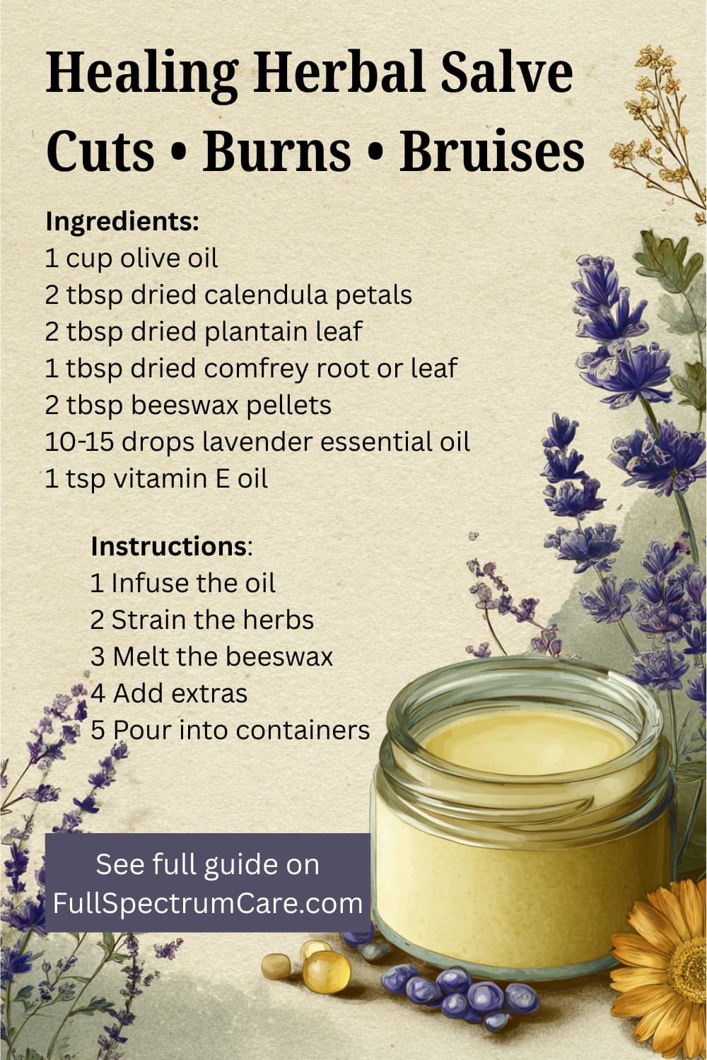 Herbal healing salve recipe for cuts burns and bruises